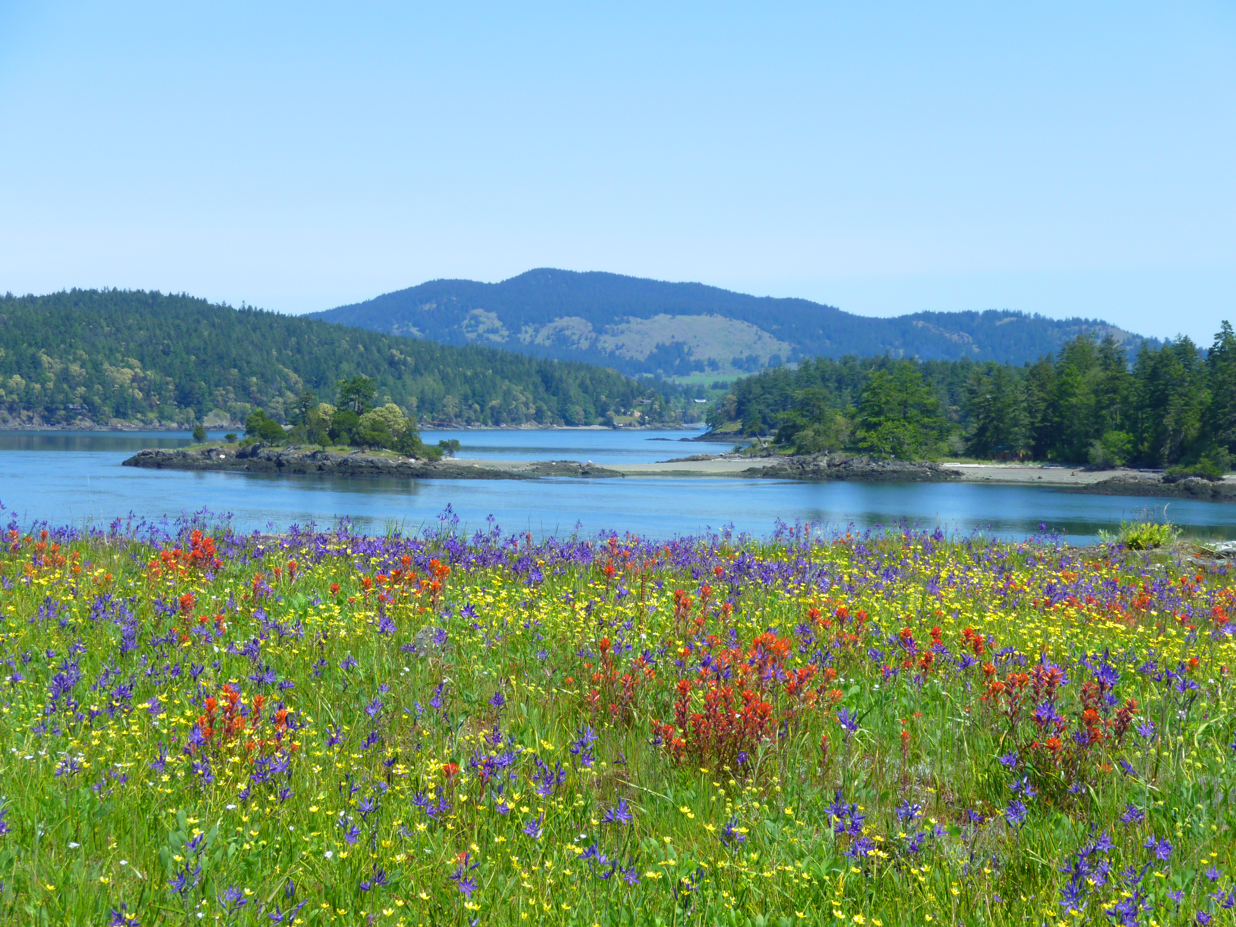 Yellow Island - McConnell Island - Turtleback Mountain