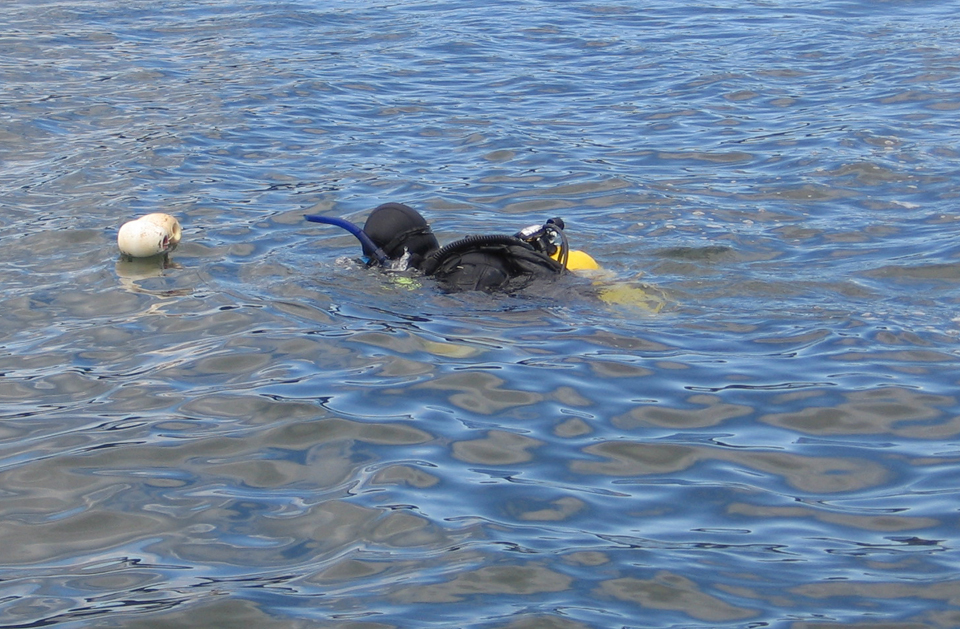 Chris Betcher of Jen Jay Diving examines mooring buoy on Orcas Island