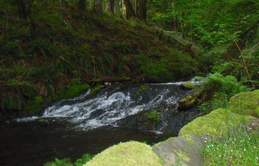 Lovely Cascade Creek