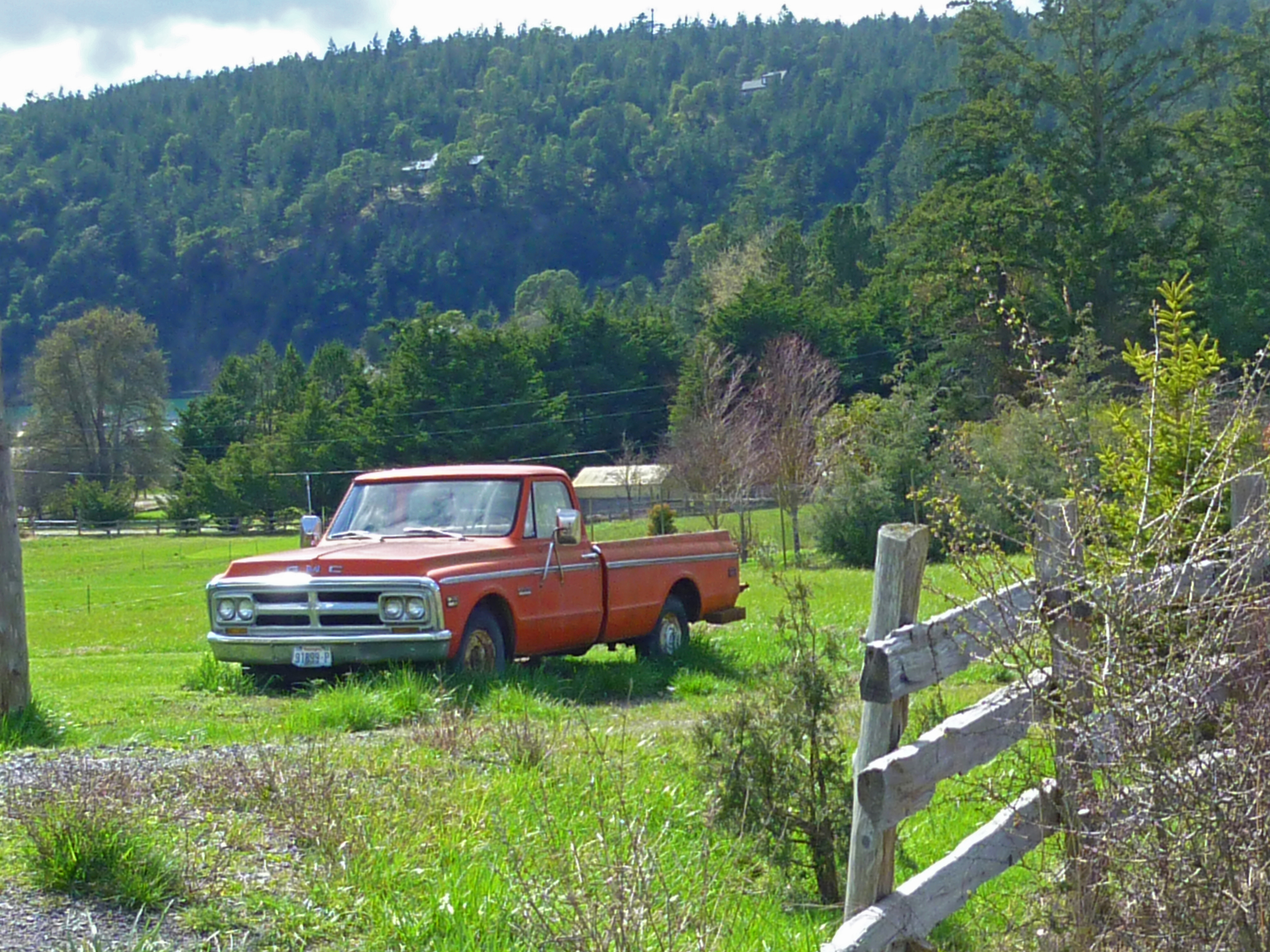 orange-ford