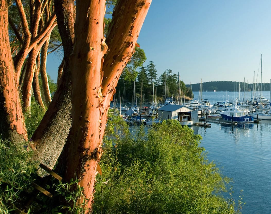 Orcas Island Scenes